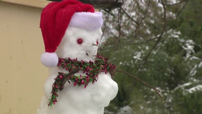  Carrizo Springs residents enjoy snow day 