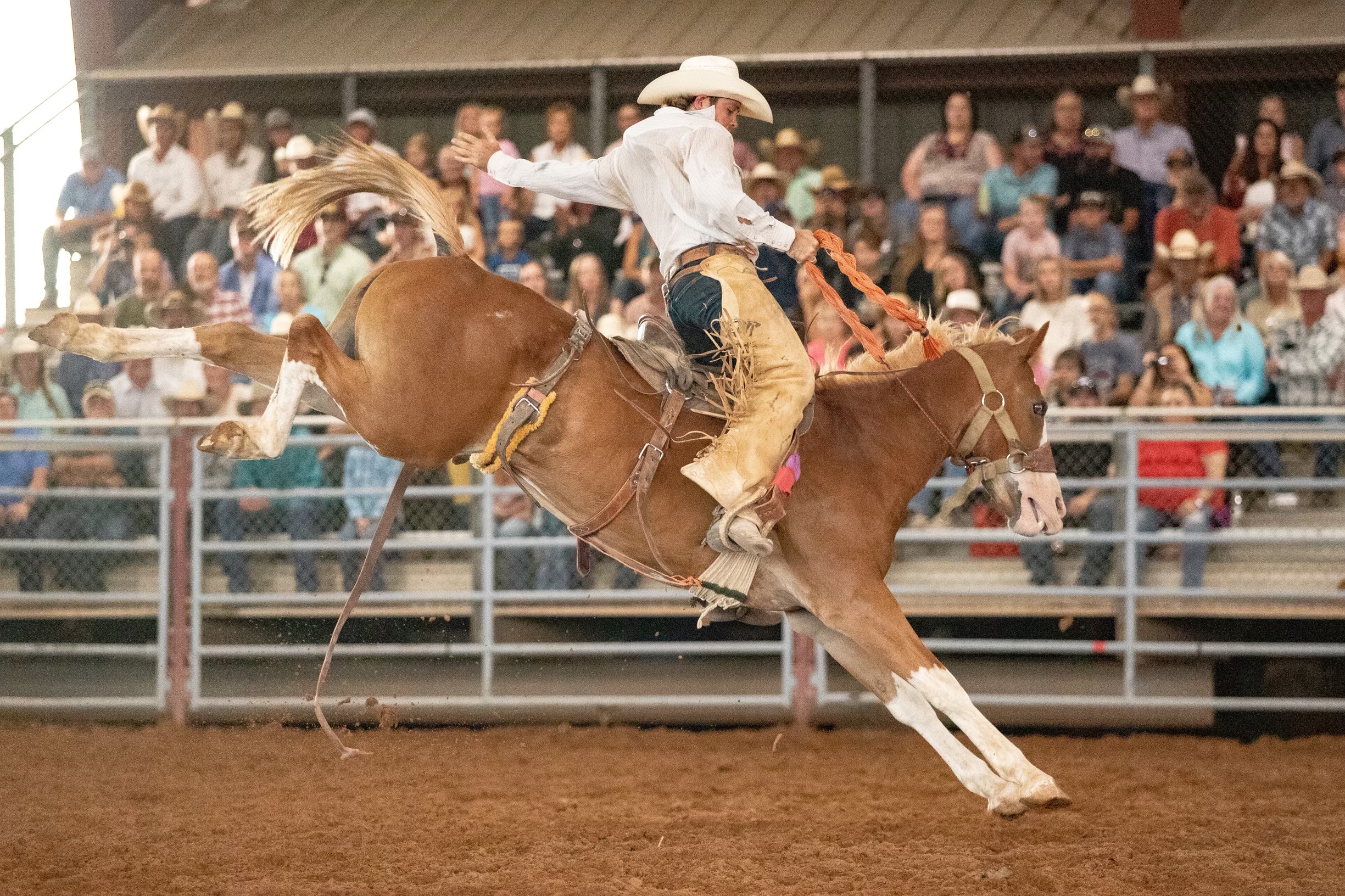  Big Bend Ranch Rodeo takes place in Alpine – The Big Bend Sentinel 