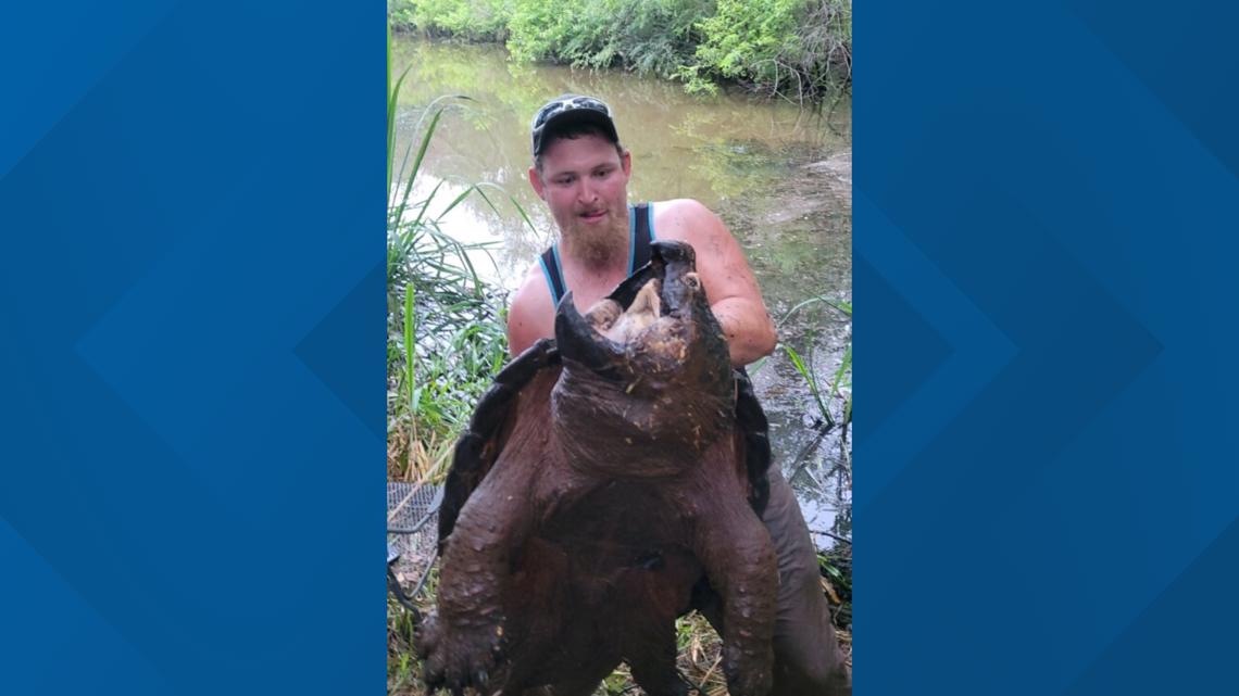  CRAZY CATCH: East Texas angler hooks, frees massive turtle 