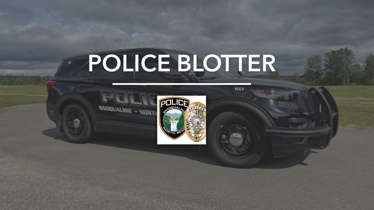  Police Blotter | Attempted Vehicle Theft; Reckless Driving; DUI Accident 