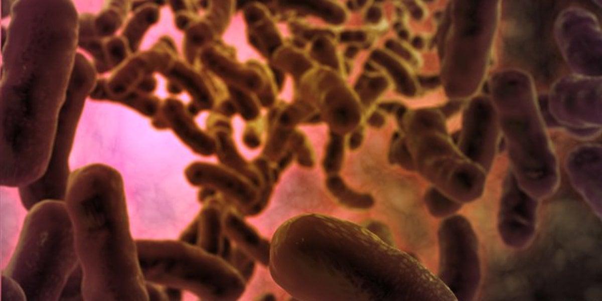  30 cases of Salmonella infection reported in Tahoka 