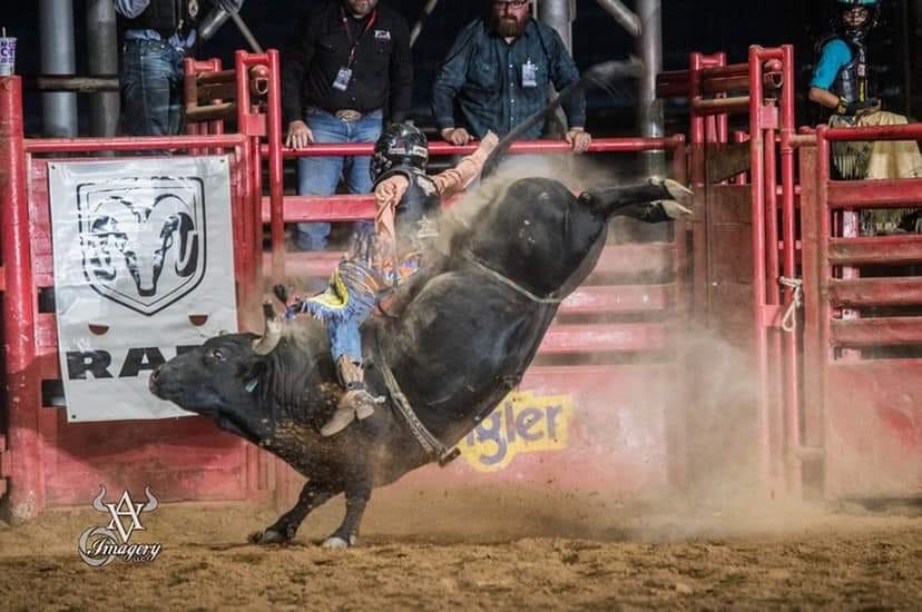  Miniature Bull Riding event set for this weekend in Lockney 