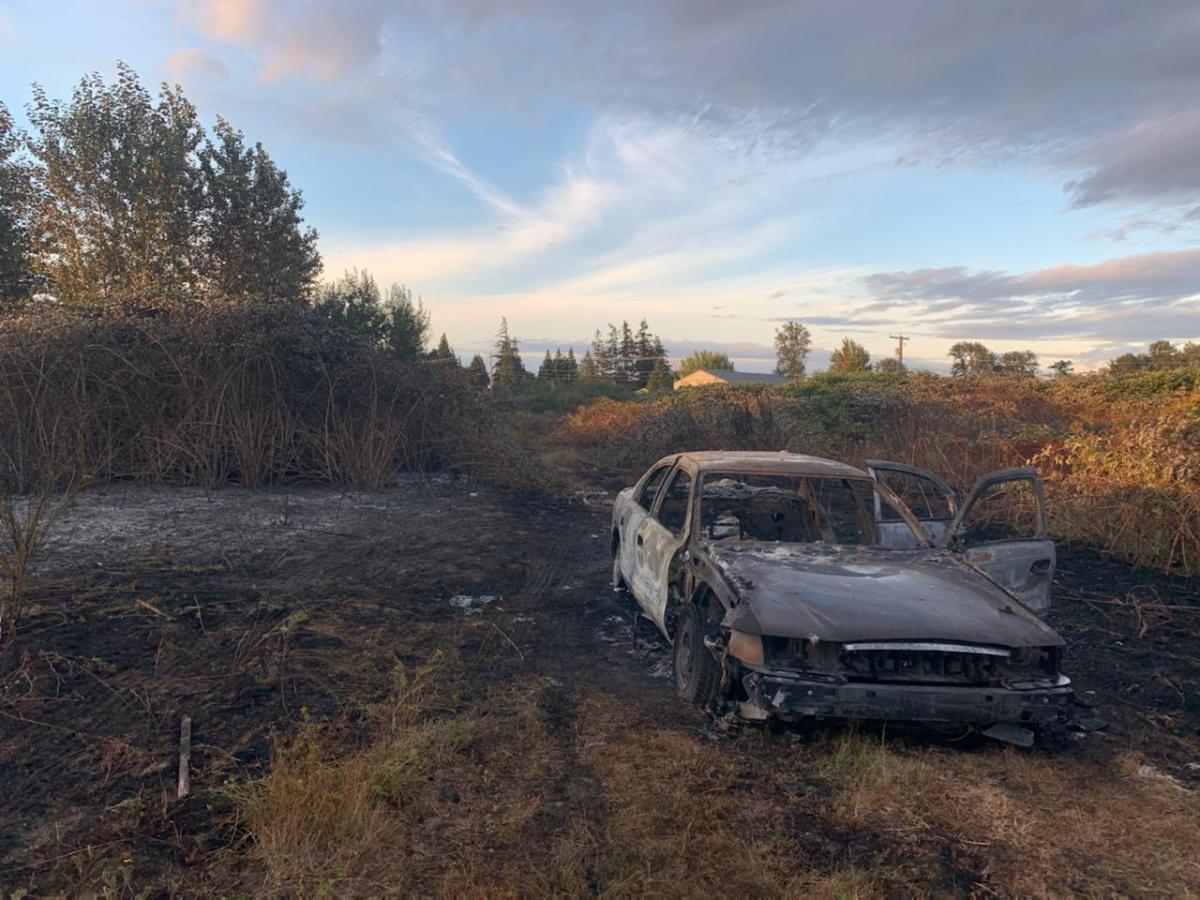  Brush fire burns over 7 acres in Ferndale 