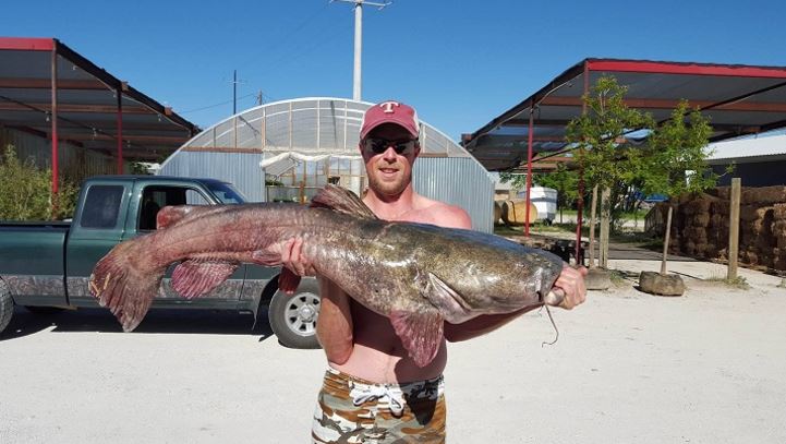  Record-breaking catfish caught in Texas lake 
