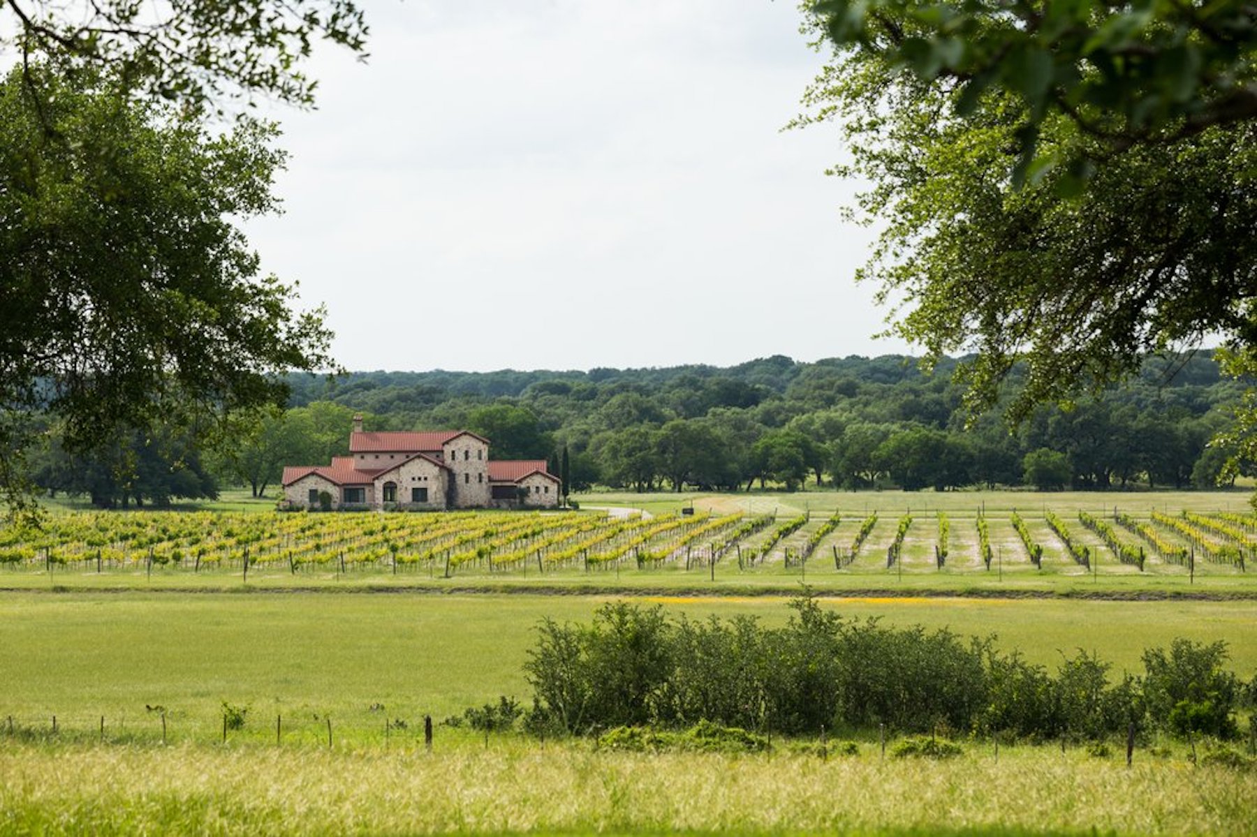  Italian Pastoral Living in the Central Texas Hill Country’s Florence 