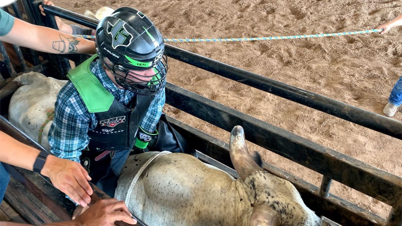   
																Here's what it takes to raise PBR Bucking Bulls 
															 